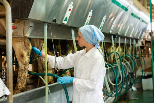 Farm milkmaid woman in bathrobe and gloves standing near automatical cow milking machines © JackF