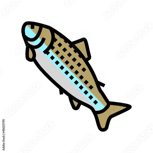 adult salmon color icon vector. adult salmon sign. isolated symbol illustration