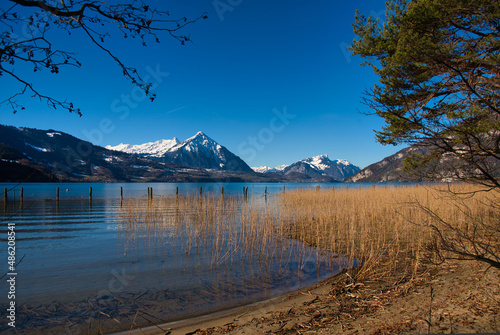 Seeufer Weissenau in interlaken in der schweiz photo