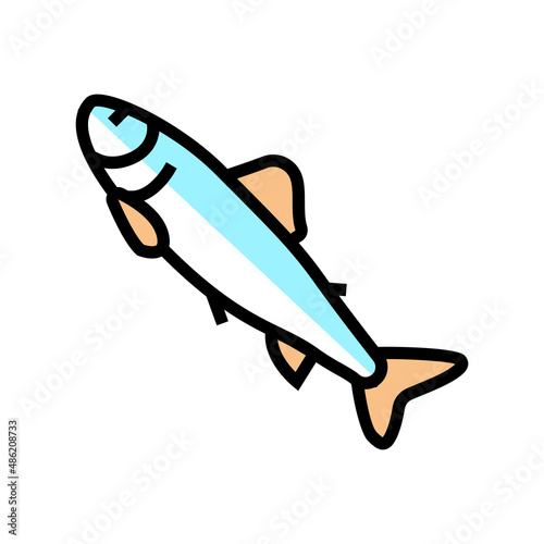 parr salmon color icon vector. parr salmon sign. isolated symbol illustration