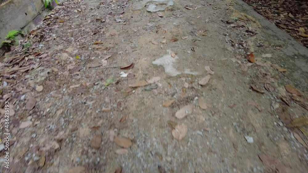 Slowly move at the broken cement road with rusty iron wire in jungle trekking trail