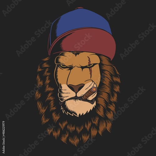 Lion hat vector illustration