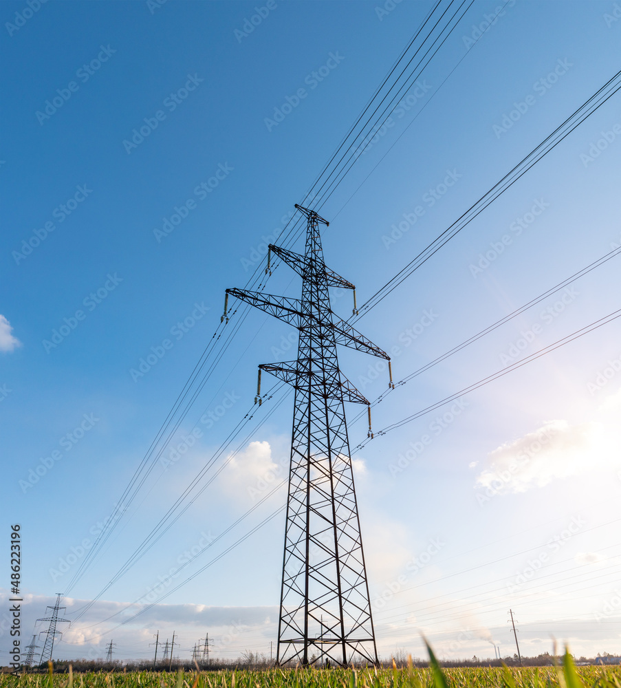 power lines in the spring in a green wheat field power lines in the spring in a green wheat field