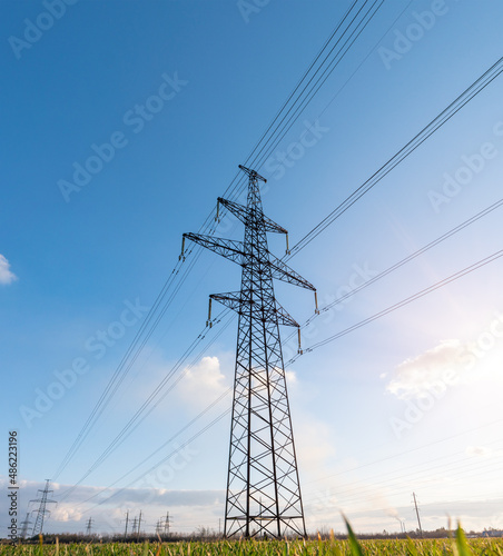 power lines in the spring in a green wheat field © yelantsevv