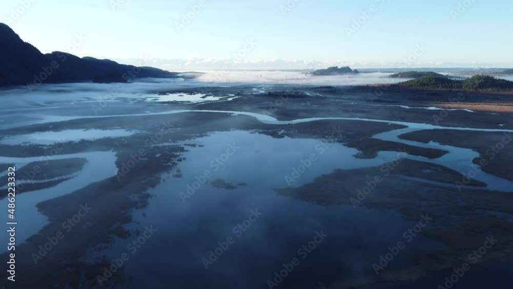 Mystical fog over meadows on a winter morning
