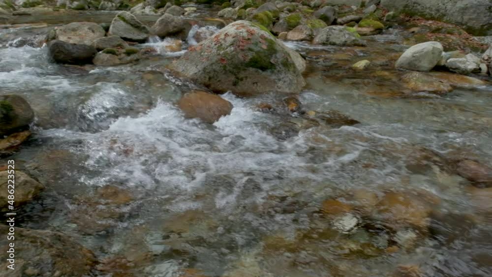 Autumn river in mountain forest at slow motion with yellow and red foliage trees Autumn river in mountain forest at slow motion with yellow and red foliage trees