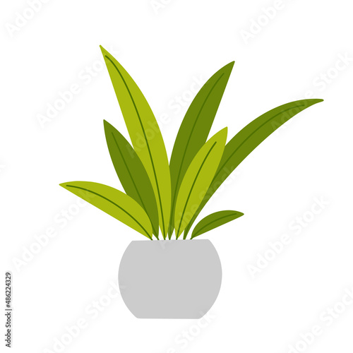 Abstract houseplant in flowerpot. Flat hand drawn foliage dracena for modern office or home decor illustration. Cute green flower for urban jungle garden.