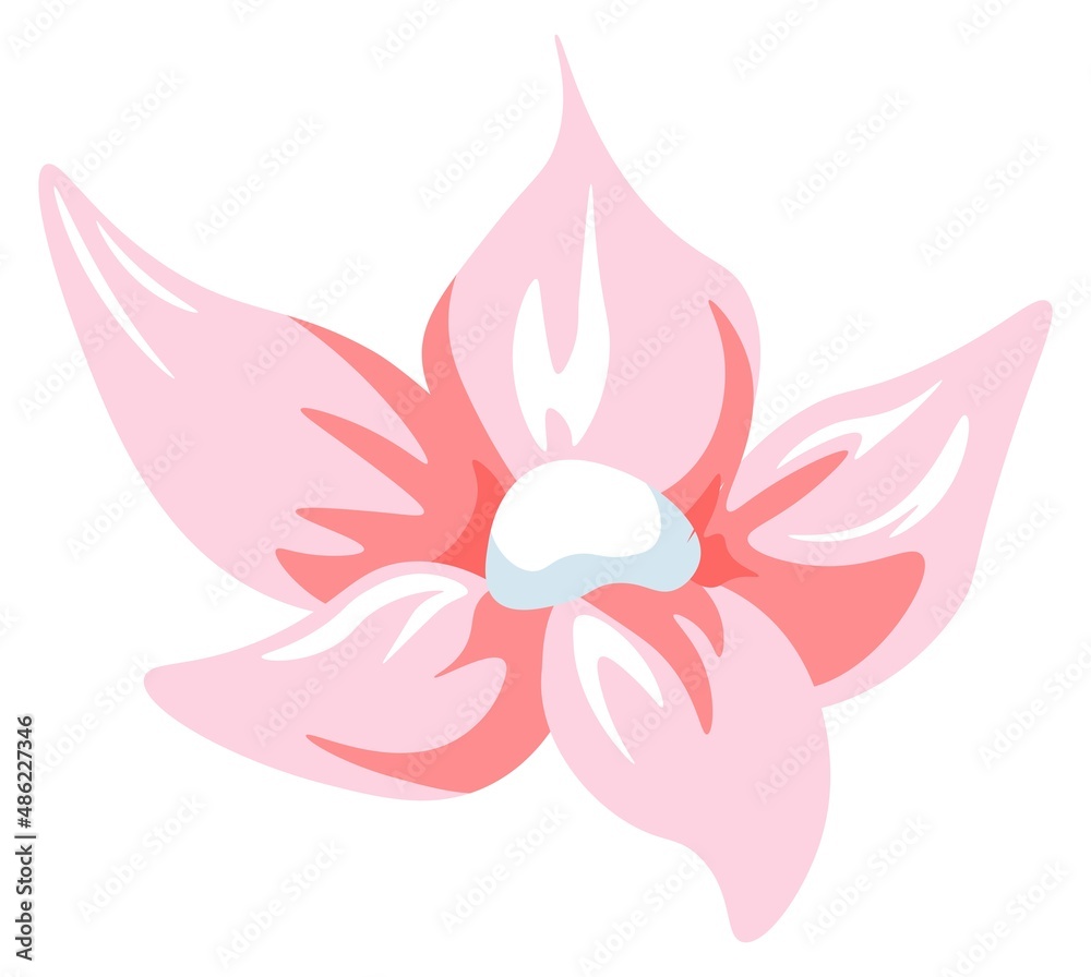 Blooming tropical flower, spring exotic blossom Blooming tropical flower, spring exotic blossom