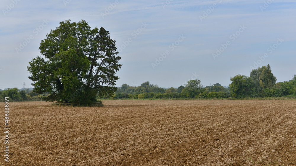 harvested field with bare earth in autumn