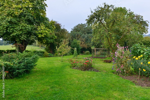 Garden with flowers, trees and lawn