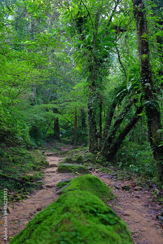 Sandiaoling Hiking trail in the Sandiaoling park  Taipei  Taiwan