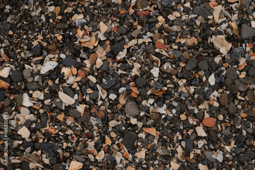 Sea or river multicolored pebbles and seashellson the beach. Natural texture of beach pebbles. Weathering and erosion of rocks. 
