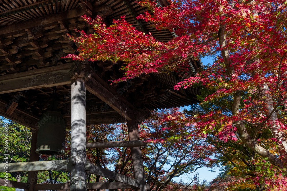 静岡県伊豆市修善寺　修禅寺の紅葉