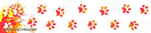 track of cat footprints smeared in bright paint. Animal paw prints on splashes of watercolor paint back. Horizontal banner vector isolated on white background