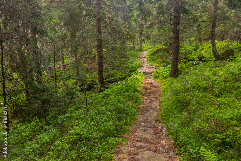 Hiking trail in Nizke Tatry mountains, Slovakia Hiking trail in Nizke Tatry mountains, Slovakia