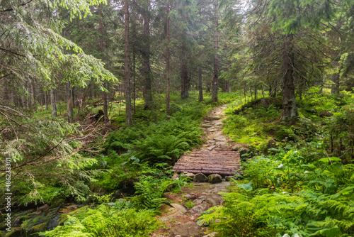 Hiking trail in Nizke Tatry mountains  Slovakia