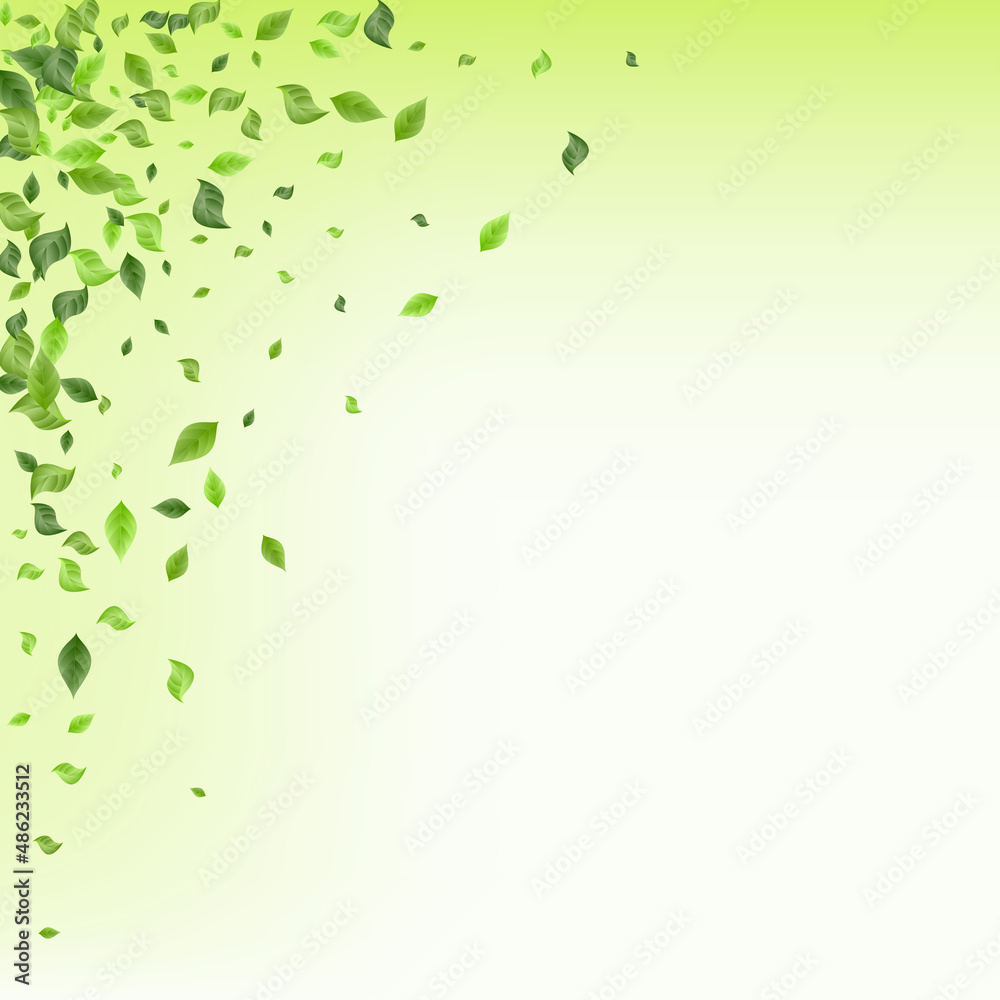 Mint Foliage Realistic Vector Transparent