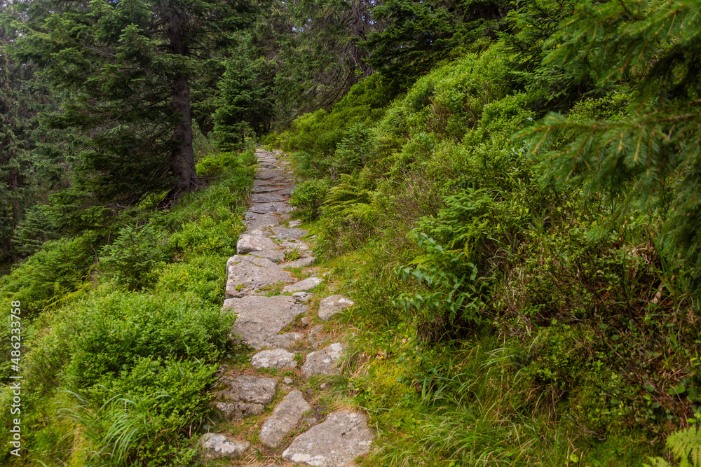Hiking trail in Nizke Tatry mountains, Slovakia