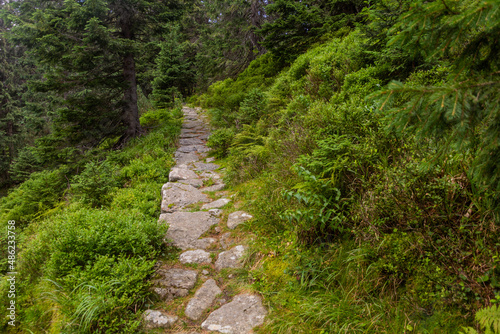 Hiking trail in Nizke Tatry mountains, Slovakia © Matyas Rehak