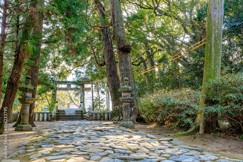 冬の櫻井神社　福岡県糸島市　Sakurai Shrine in winter. Fukuoka-ken Itoshima city. photo