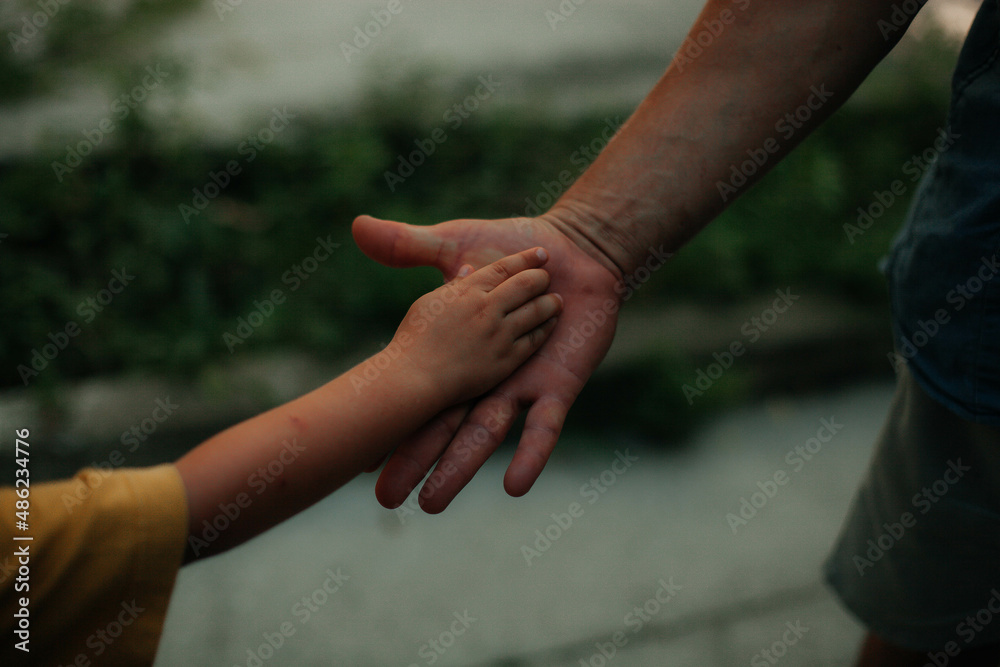 couple holding hands couple holding hands