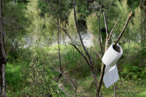 A roll of toilet paper hangs on a tree branch photo