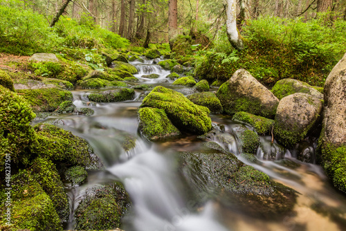 Fototapeta Naklejka Na Ścianę i Meble -  Small stream in Nizke Tatry mountains, Slovakia