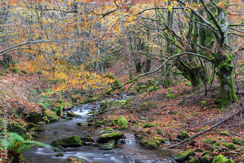 Colorful and windy autumn. Ulzama River