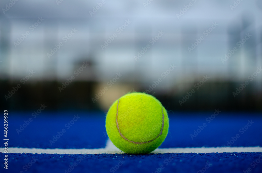 selective focus of a ball on the white line of a blue paddle tennis court