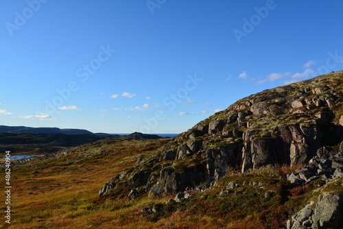 rocky plain in the autumn tundra