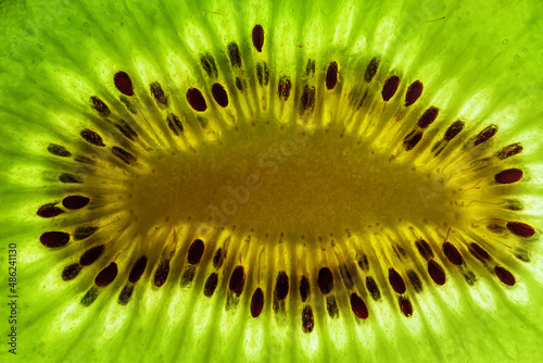 close up of kiwi fruit