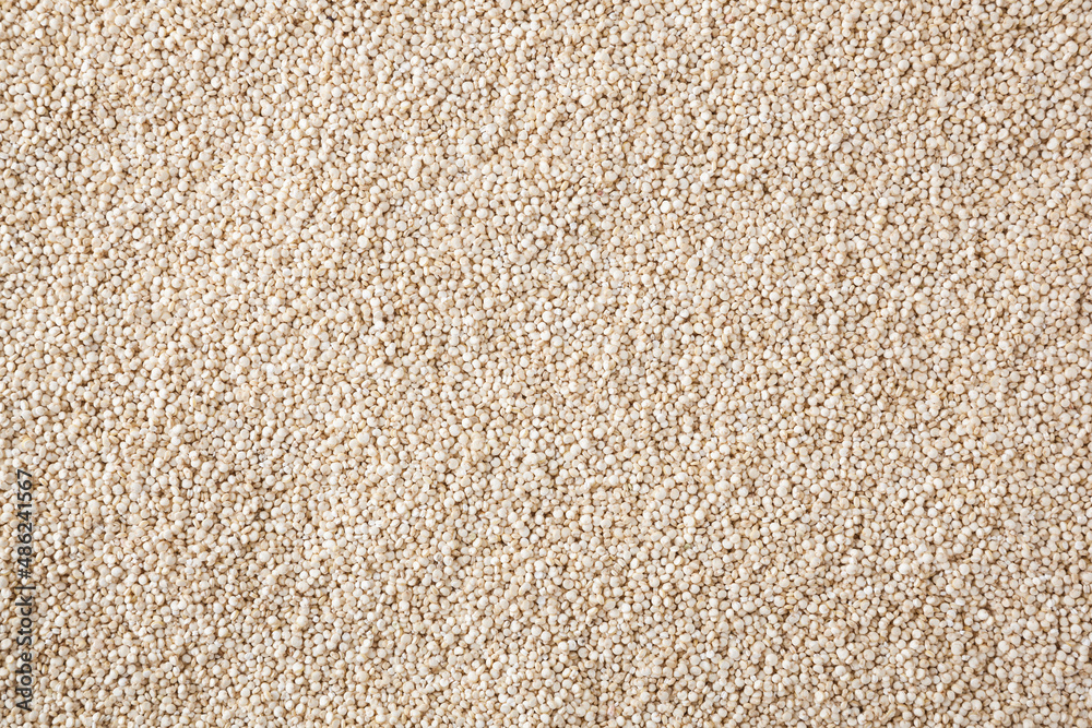 Dried white quinoa seeds background Dried white quinoa seeds background