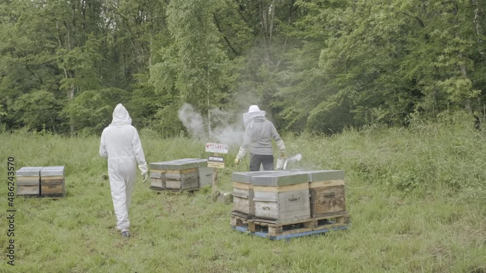 Two men in protective suit putting smoke inside wooden bee hive boxes placed in a field. Two men in protective suit putting smoke inside wooden bee hive boxes placed in a field.