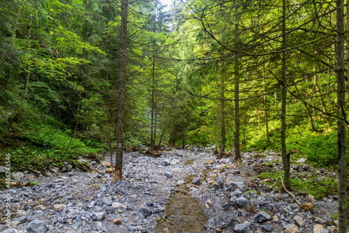 Huciaky valley in Nizke Tatry mountains, Slovakia photo