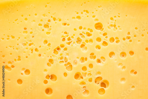 Structure of cheese with small holes close-up. Food background.