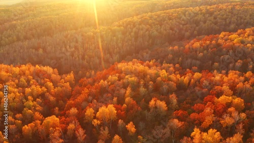 Fantastic autumn forest glows in the sunlight from a bird's eye view. Filmed in 4k, drone video.