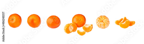 Isolated citrus, tangerine collection. Whole tangerine fruit peeled segments isolated on white background with clipping path.