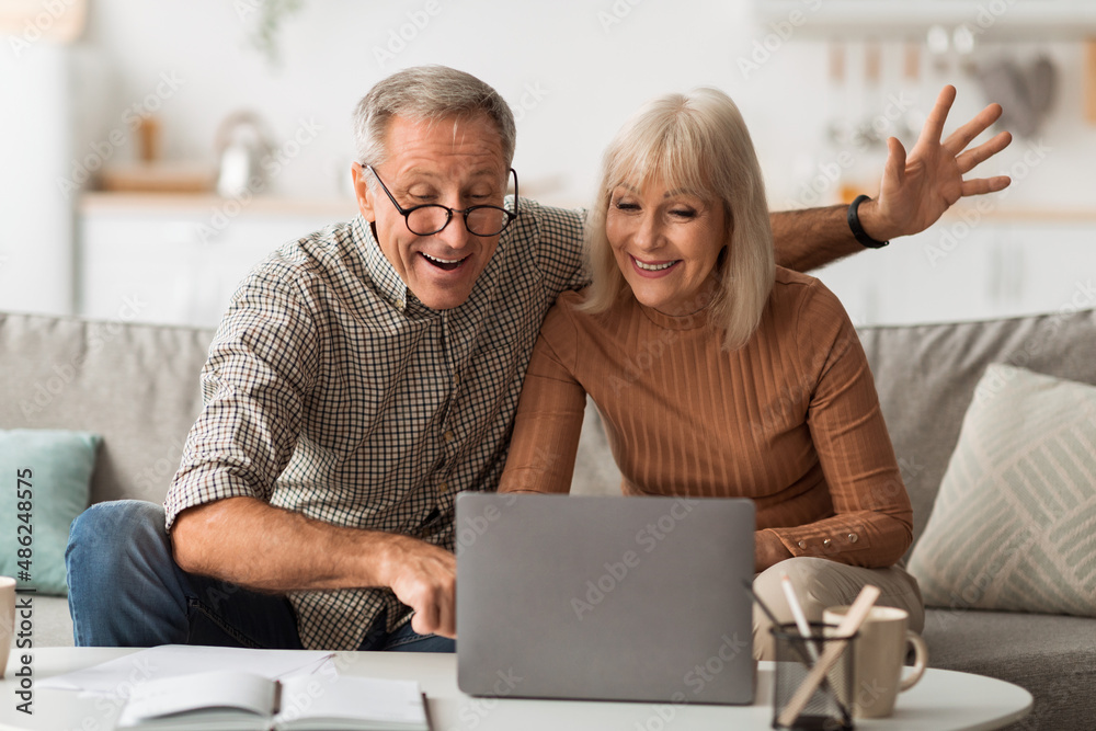Senior Spouses Making Video Call Talking To Laptop At Home