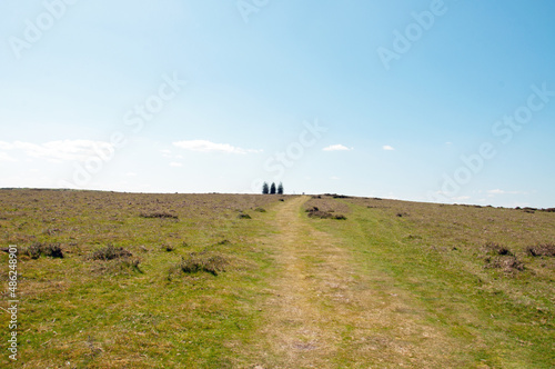 Towards the top of the hill.