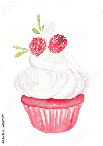 Raspberry delicious cupcake. Sweet hand-drawn watercolor illustration for weddings  cafeterias or valentine s day decor.