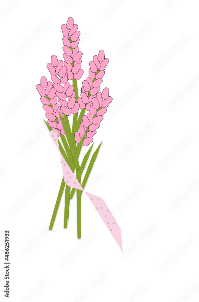 Obraz premium pink lavender