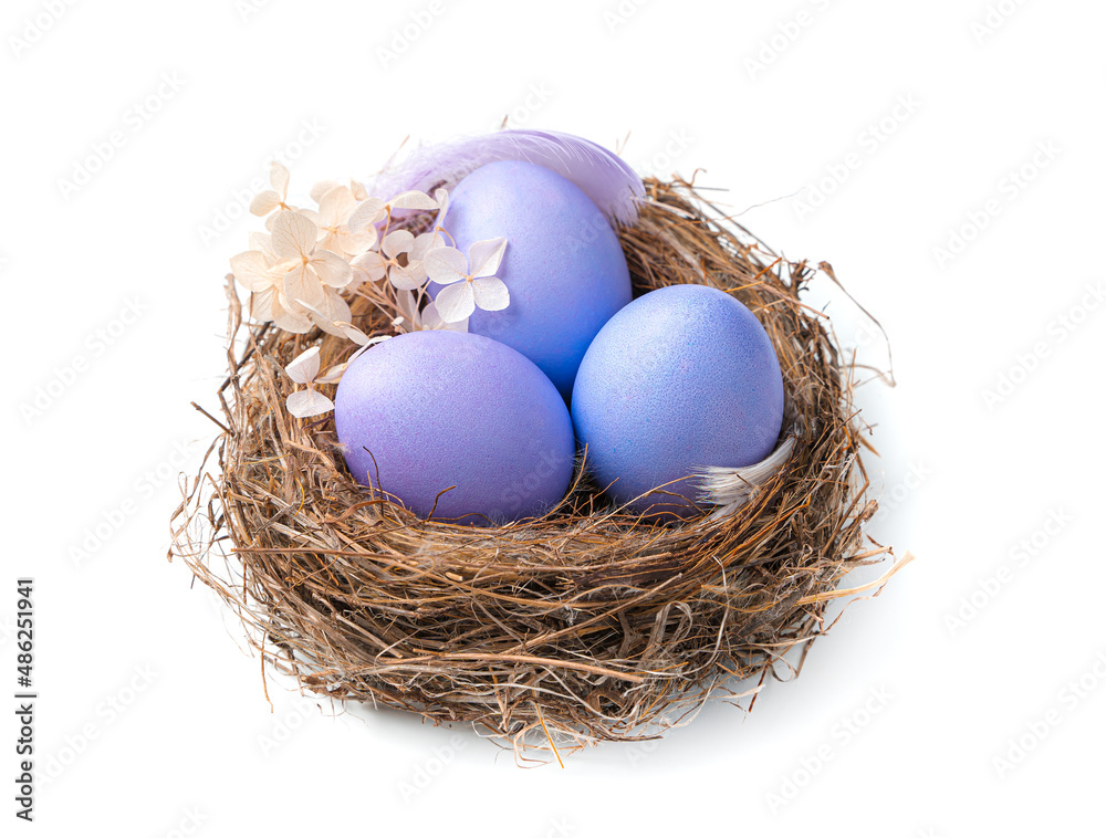 Nest with purple Easter eggs isolated on a white background. Nest with purple Easter eggs isolated on a white background.