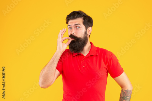confident and handsome bearded man on yellow background. hair and beard care.