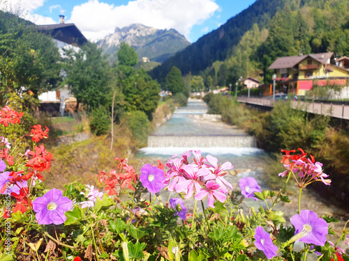 Landscape of the mountain town Fiera di Primiero with river and pelargonium flowers.