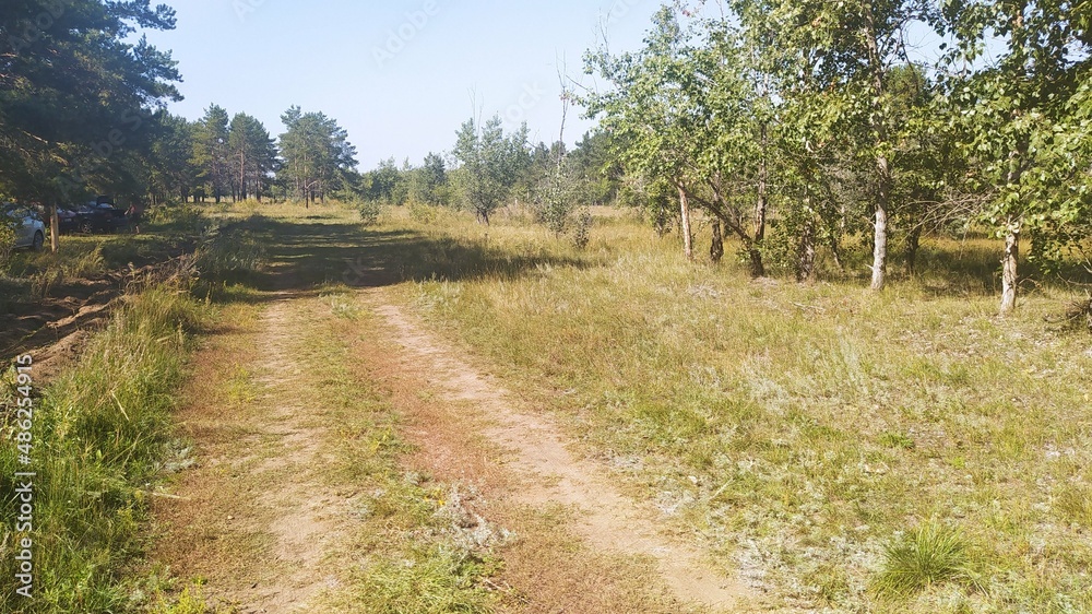 Fototapeta premium path in the mountains