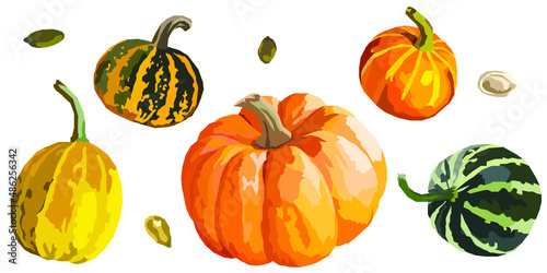 Vector set of pumpkins