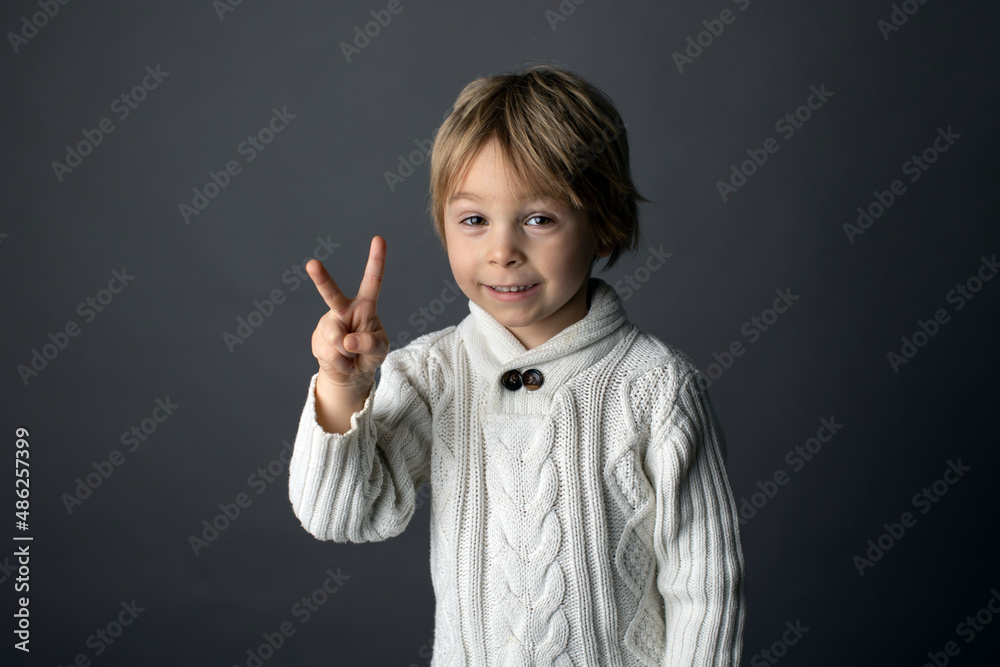 Cute little toddler boy, showing gesture in sign language on gray background, isolated image, child showing hand sings Cute little toddler boy, showing gesture in sign language on gray background, isolated image, child showing hand sings