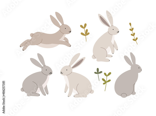 Cute cartoon rabbits in various poses with plants. Hand-drawn vector rabbits, isolated on white background. Spring season concept, Easter, nature.