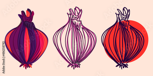 Simple onion vector set. Stylish purple and orange, red onion illustration on the light pink background. Veggie hand drawing. Autumn harvest colors. Harvest vegetables. Healthy products.