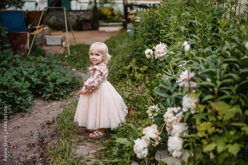 a girl runs in the park with peonies along the paths in the garden.